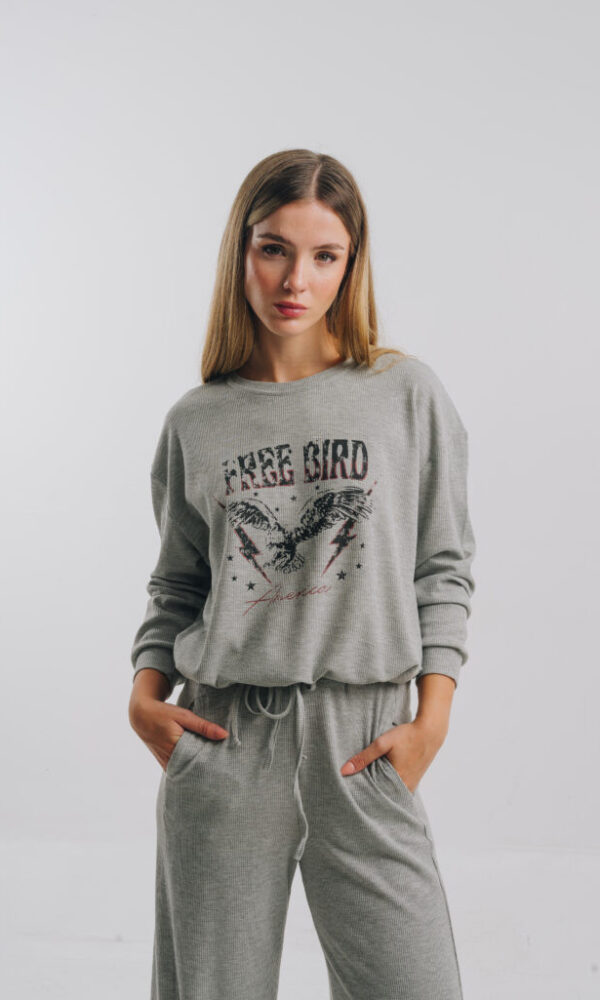 Alternative view of Buzo América